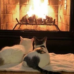 　　₊ ‧ 〜　umber luvs /decorr　　⋆